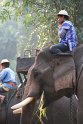 Day 9 - Chiang Mai - Elephant Camp 069